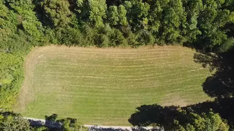 187 High Point Rd, Deer Lodge, TN 37726 photo 9