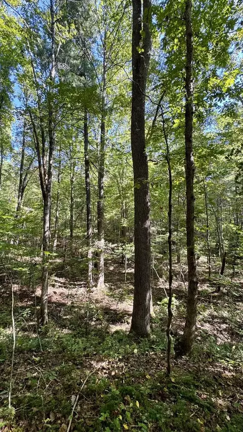 187 High Point Rd, Deer Lodge, TN 37726 photo 17