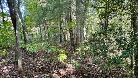 187 High Point Rd, Deer Lodge, TN 37726 photo 14