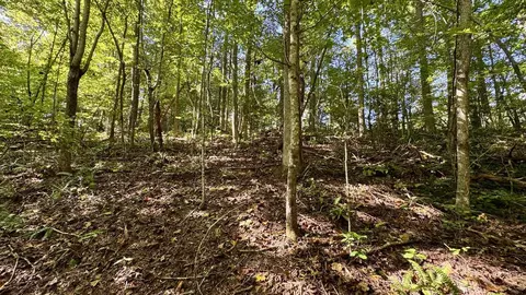 187 High Point Rd, Deer Lodge, TN 37726 photo 16