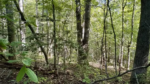 187 High Point Rd, Deer Lodge, TN 37726 photo 13