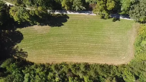 187 High Point Rd, Deer Lodge, TN 37726 photo 11