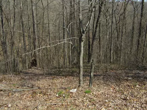 lot28 Hunters S Landing Ln, Smithville, TN 37166