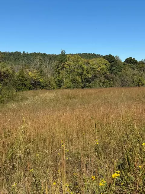 11 7 Ac Byrdstown Hwy, Livingston, TN 38570