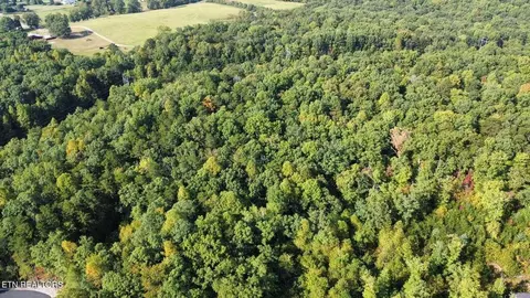 000 Long Branch Ct, Allardt, TN 38556
