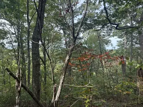 lot155 Mountain View Ln, Wilder, TN 38589