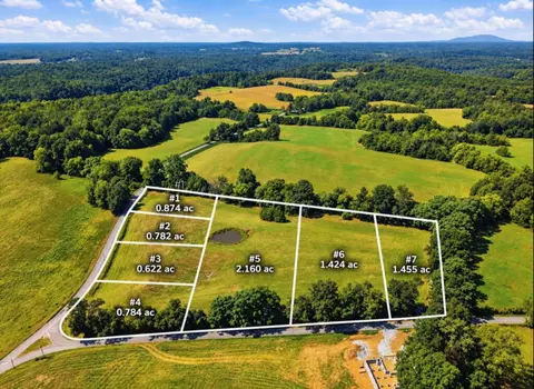 8 Lots Webbs Campjoppa Rd, Walling, TN 38587 photo 2