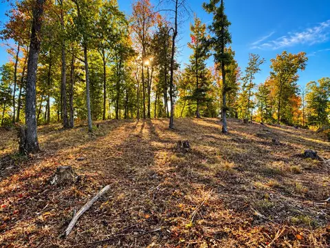 9 Ac Backbone Rd, Sparta, TN 38583 photo 5