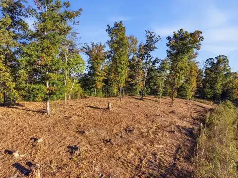 9 Ac Backbone Rd, Sparta, TN 38583 photo 8