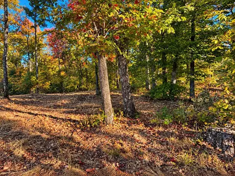 9 Ac Backbone Rd, Sparta, TN 38583 photo 2