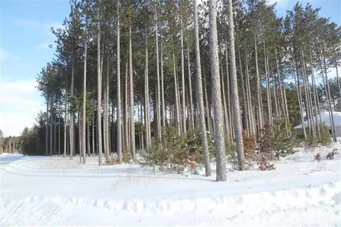 lot O Whitetail Dr, Stevens Point, WI 54482 photo 1