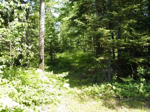 w7224 Holy Cross Road, Fifield, WI 54524 photo 24