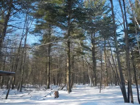 n10185 Maple Road, Phillips, WI 54555 photo 27
