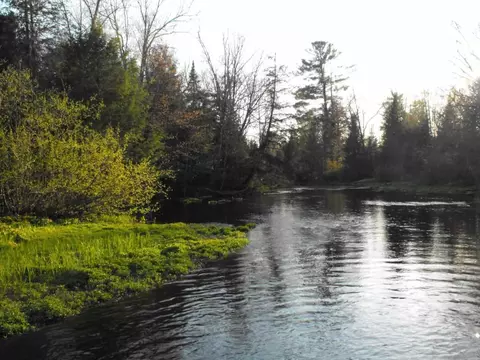 w10570 Bluebell Road, Antigo, WI 54409 photo 9