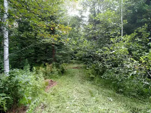 76296 Deringer Rd, Glidden, WI 54527 photo 23