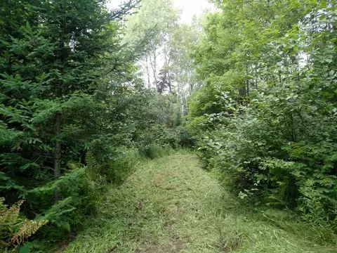 76296 Deringer Rd, Glidden, WI 54527 photo 14