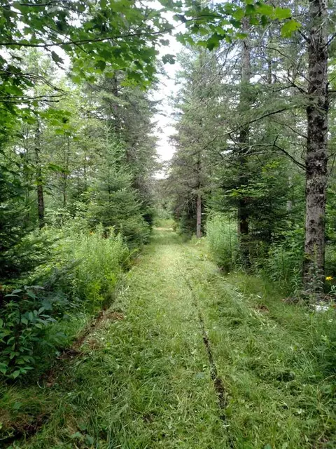 76296 Deringer Rd, Glidden, WI 54527 photo 13