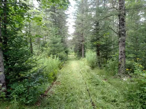 76296 Deringer Rd, Glidden, WI 54527 photo 27
