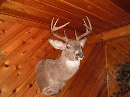 77978 County Line Rd, Mellen, WI 54546 photo 7
