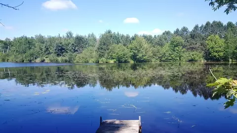 n9863 Peninsula Drive, Phillips, WI 54555 photo 20