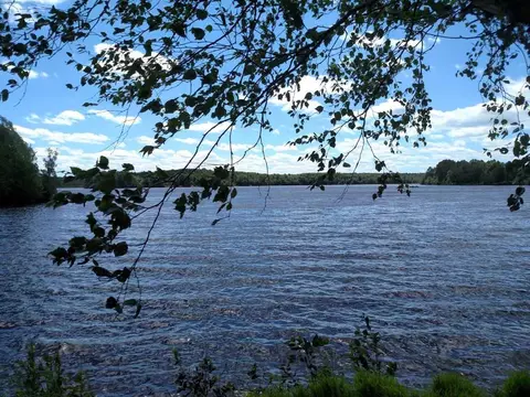 n9863 Peninsula Drive, Phillips, WI 54555 photo 14