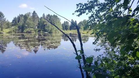 n9863 Peninsula Drive, Phillips, WI 54555 photo 18