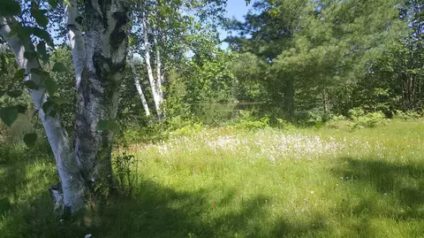 n9863 Peninsula Drive, Phillips, WI 54555 photo 23