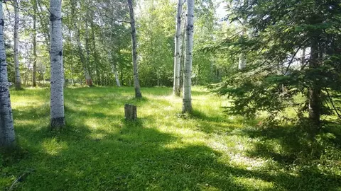 n9863 Peninsula Drive, Phillips, WI 54555 photo 21