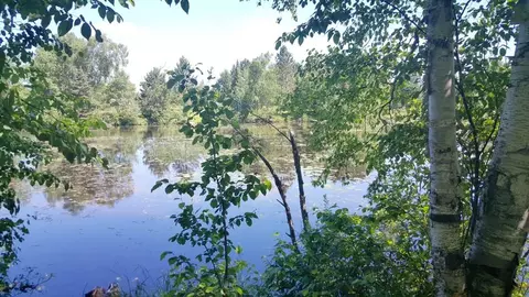 n9863 Peninsula Drive, Phillips, WI 54555 photo 17