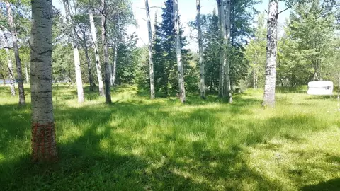 n9863 Peninsula Drive, Phillips, WI 54555 photo 16
