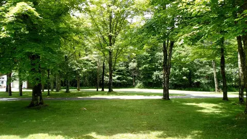 w8275 Crane-chase Road, Phillips, WI 54555 photo 19