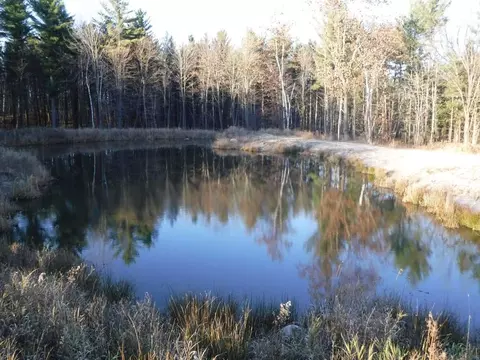 n6441 Ives Drive, Willard, WI 54493 photo 23
