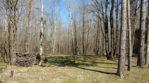 w6936 Paradise Lane, Phillips, WI 54555 photo 4