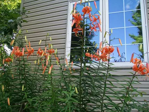 w5168 West Hackett Road, Prentice, WI 54556 photo 28