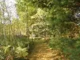 n9691 Mintal Road, Phillips, WI 54555 photo 10
