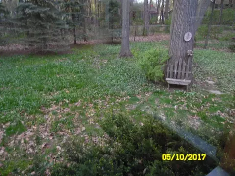 1213 E 26th St, Marshfield, WI 54449 photo 6