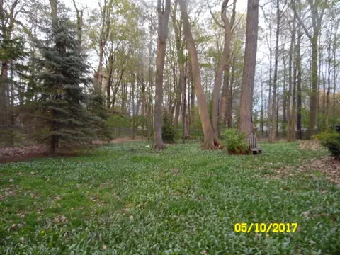 1213 E 26th St, Marshfield, WI 54449 photo 5