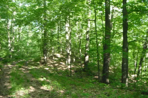 21121 245th Ave, Cornell, WI 54732 photo 2