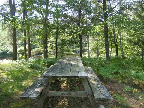 3565 Eagles Nest Ln, Tomahawk, WI 54487 photo 3