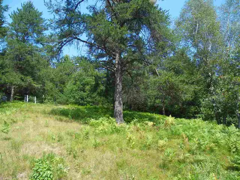 3565 Eagles Nest Ln, Tomahawk, WI 54487 photo 7