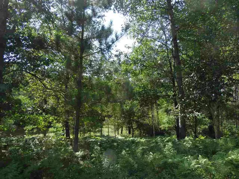 3565 Eagles Nest Ln, Tomahawk, WI 54487 photo 6