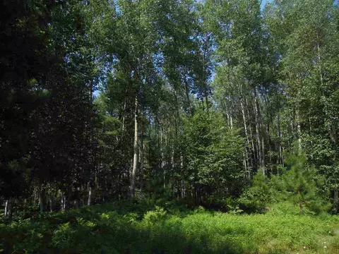3565 Eagles Nest Ln, Tomahawk, WI 54487 photo 9