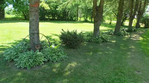 w9290 Pine Road, Thorp, WI 54771 photo 12