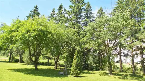w9290 Pine Road, Thorp, WI 54771 photo 20