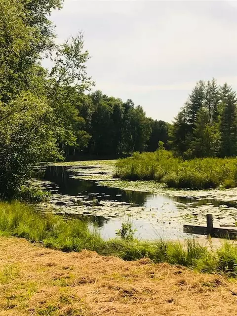 w4756 Thunder Bay Road, Tomahawk, WI 54487 photo 30