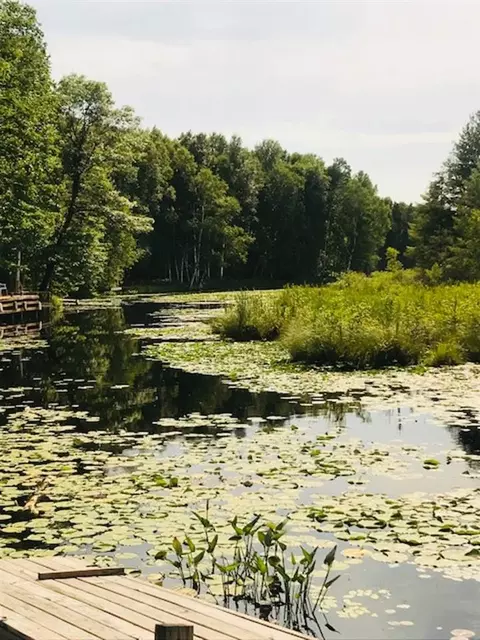 w4756 Thunder Bay Road, Tomahawk, WI 54487 photo 32