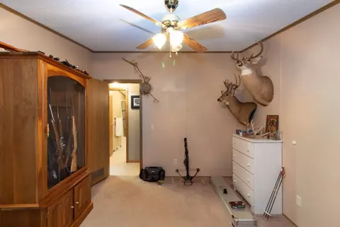 236935 Eau Claire River Rd, Aniwa, WI 54408 photo 19