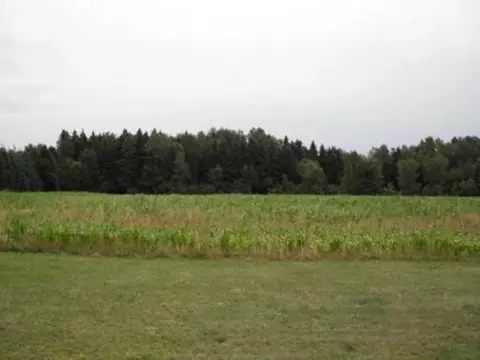W16673 County Road Z, Birnamwood, WI 54414