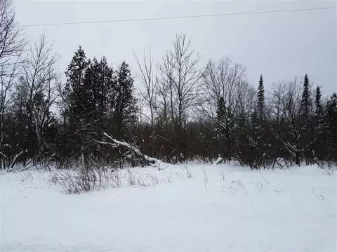 n2499 Pirus Road, Withee, WI 54498 photo 5