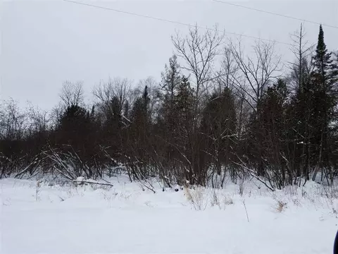 n2499 Pirus Road, Withee, WI 54498 photo 3
